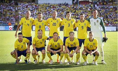 瑞典欧洲杯名单_瑞典欧洲杯名单公布